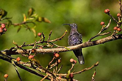 外媒评15款必须用心玩才能通关的游戏 《传送门2》在列